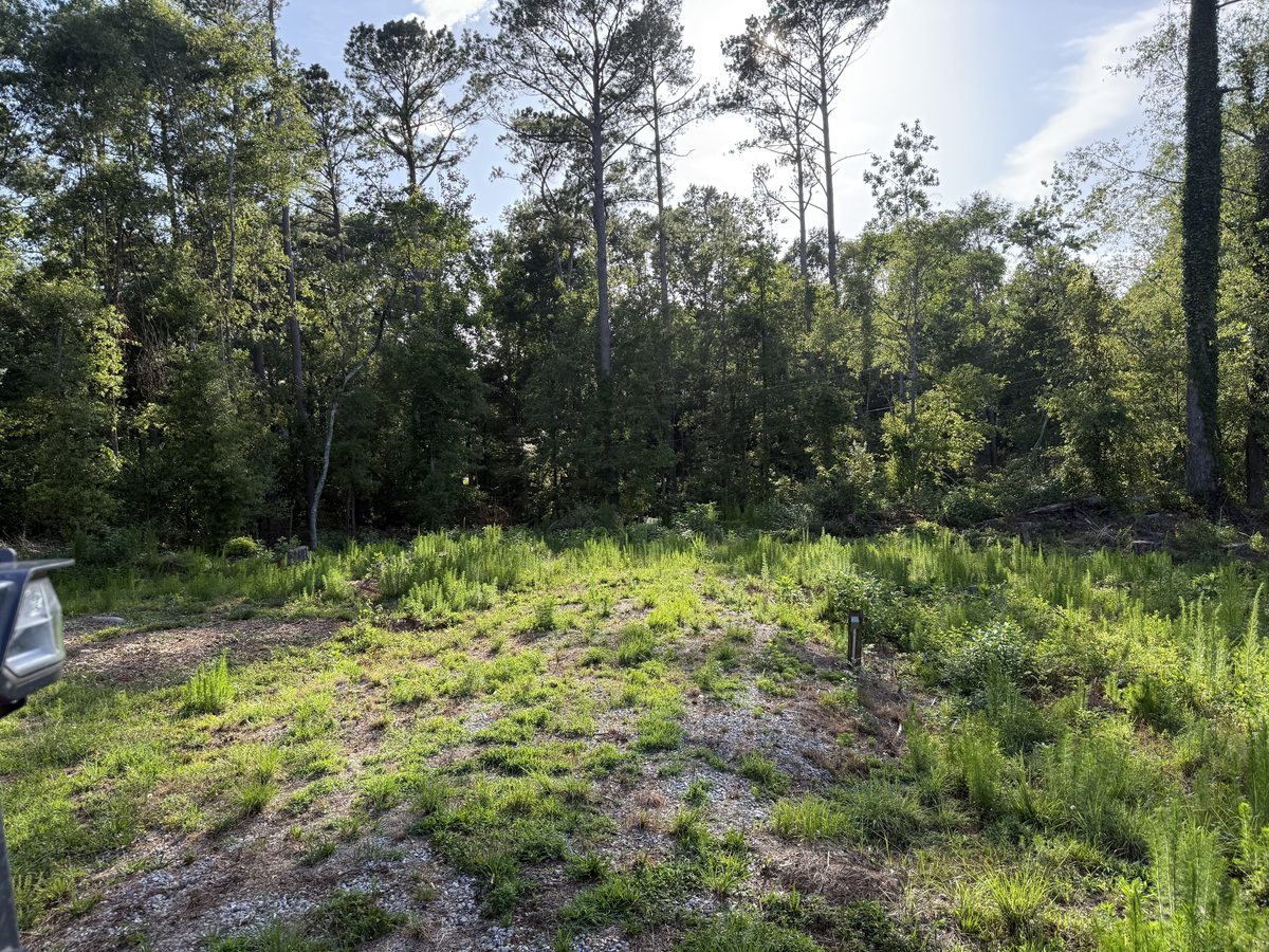 Before land clearing and grading — overgrown property Upstate SC