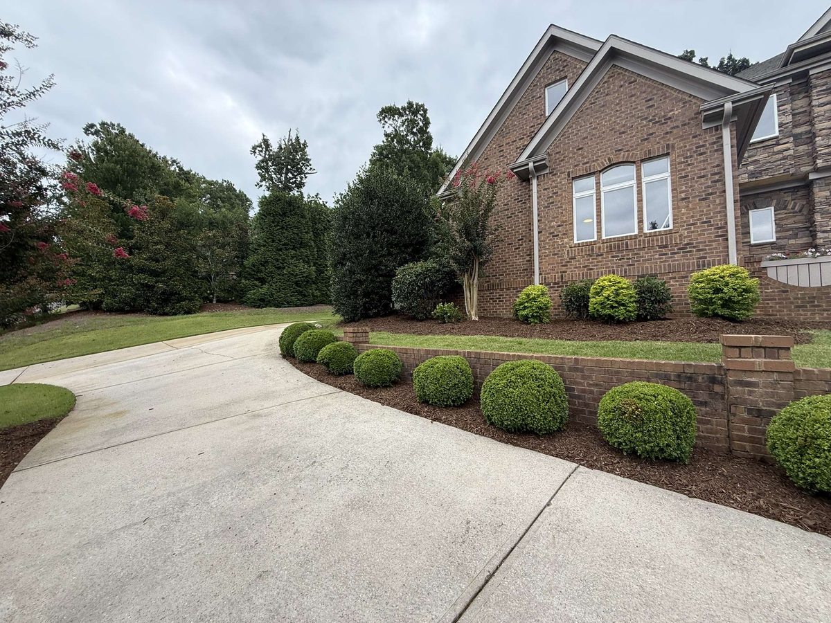 Landscape installation Greenville SC — Iron Lungs