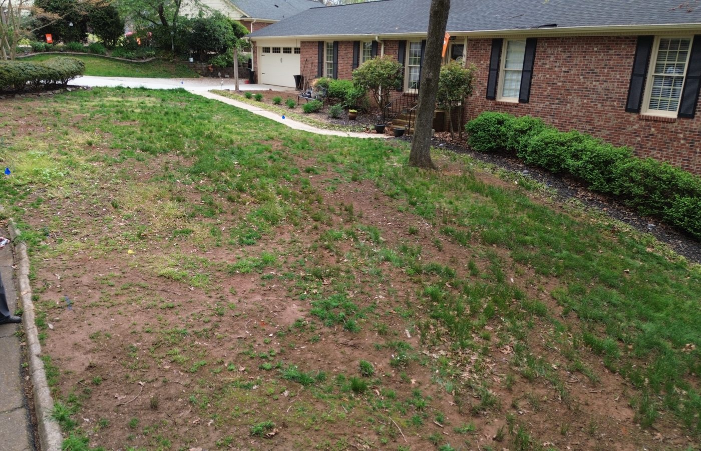 Before landscape renovation front yard downtown Greenville SC — patchy lawn