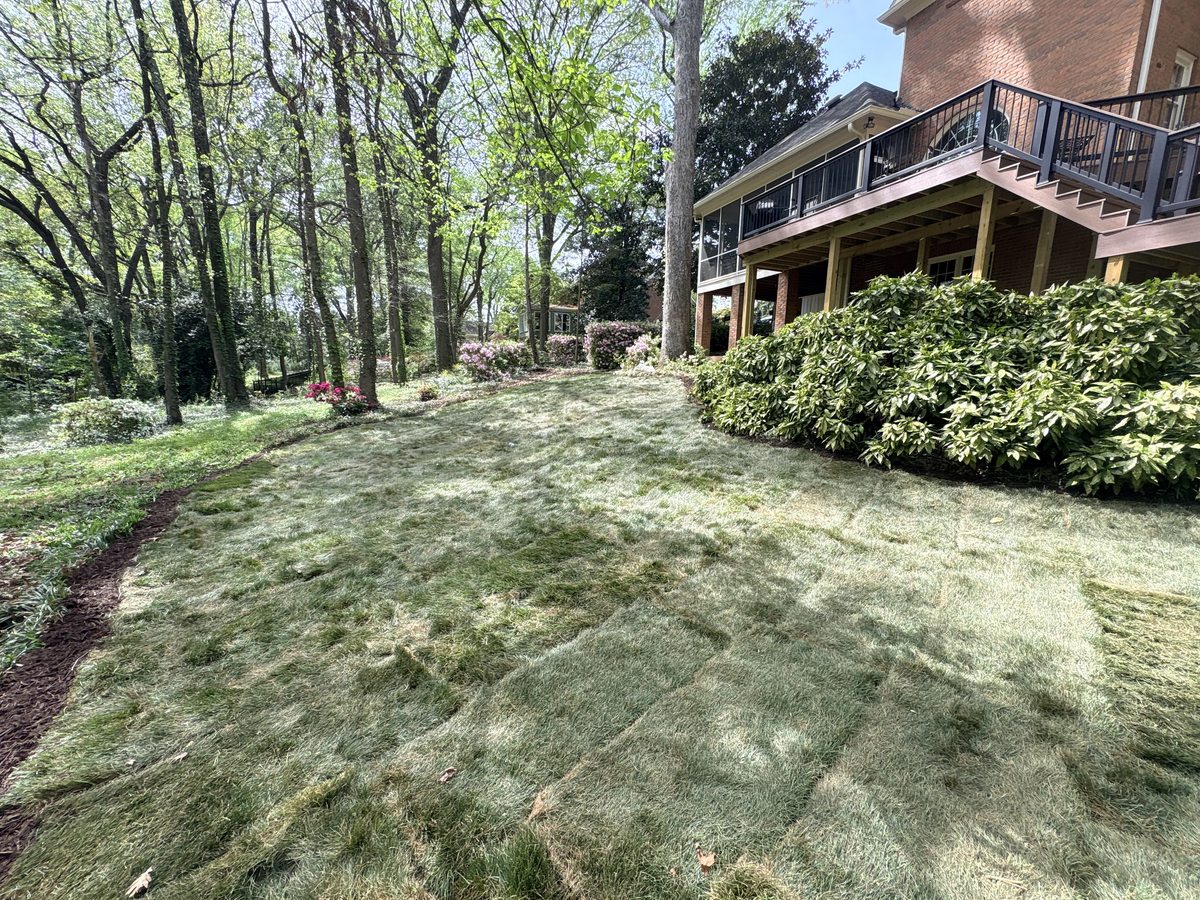 After Fescue sod installation zero sun yard Greenville SC — Iron Lungs