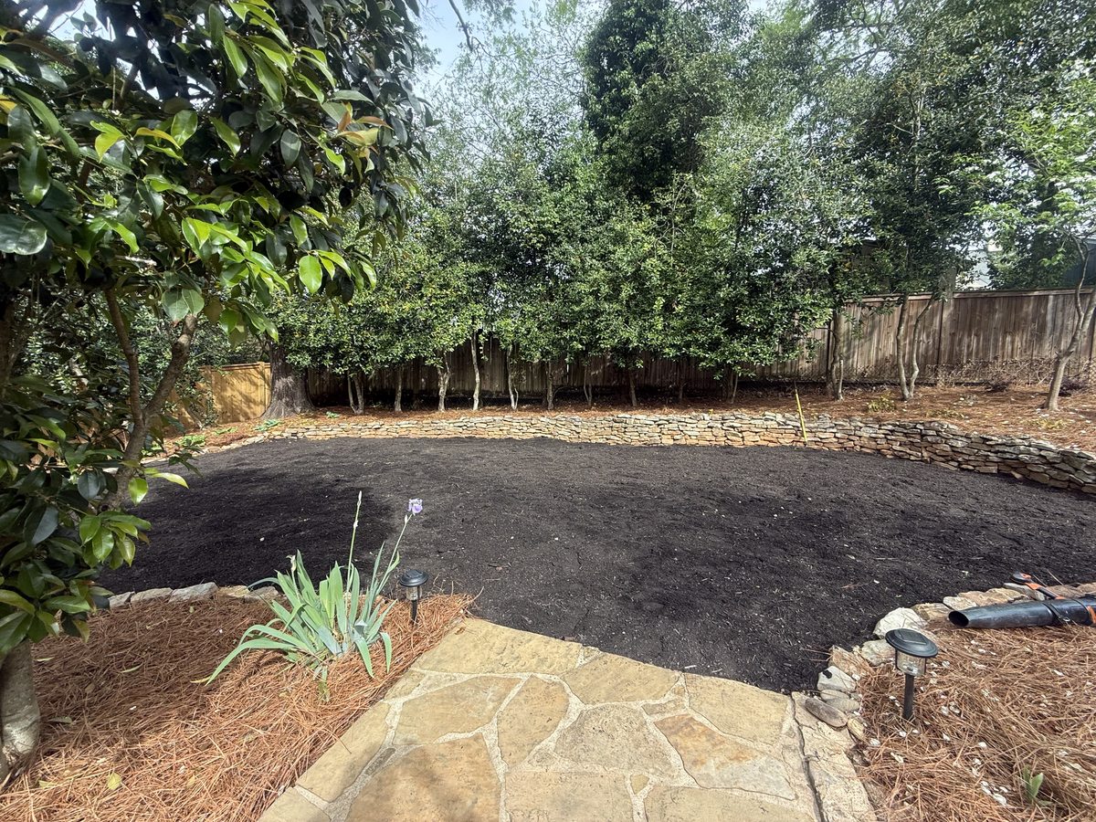 Before St. Augustine sod installation downtown Greenville SC — Iron Lungs