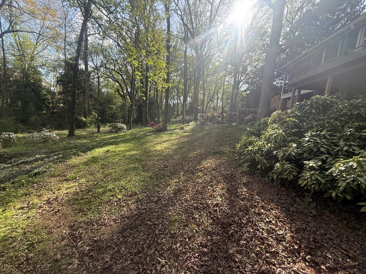 Before sod installation heavily shaded yard Greenville SC — Iron Lungs