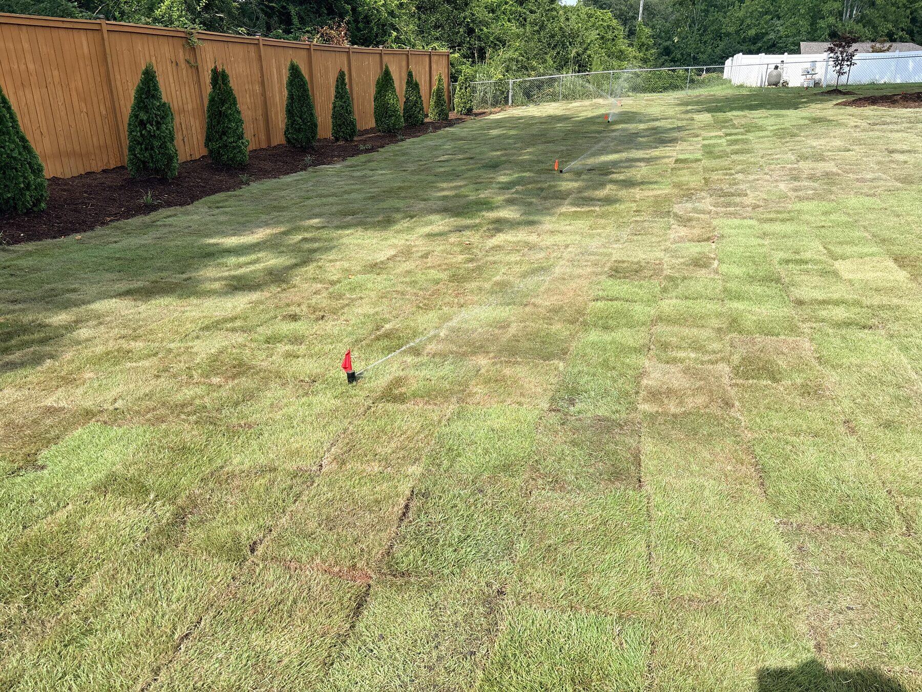 Newly installed sod being watered by in-ground irrigation heads across a large backyard, seams still visible between pieces — Iron Lungs Grading sod installation, Upstate SC